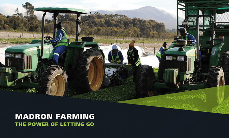 GROW - Banner Madron Farming