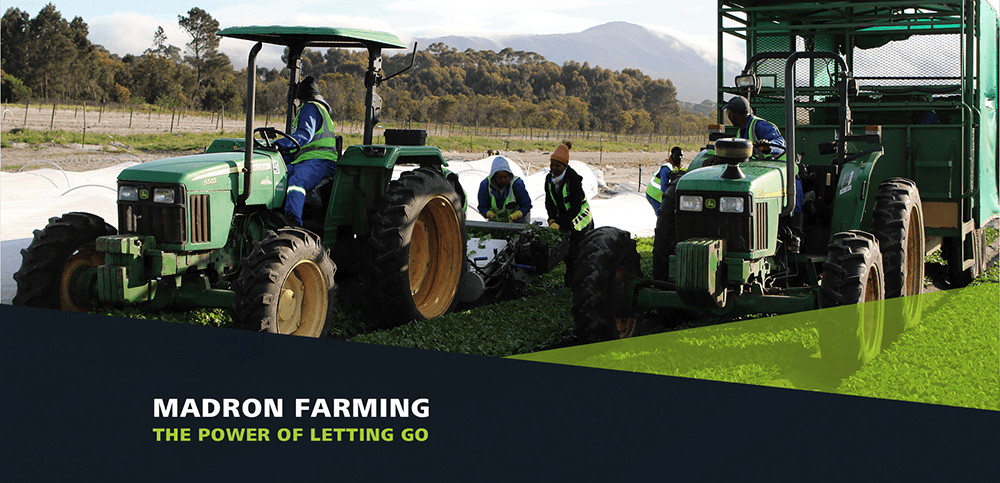 Madron Farming – The power of letting go